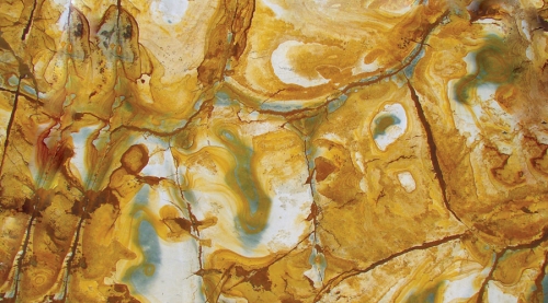 PALOMINO